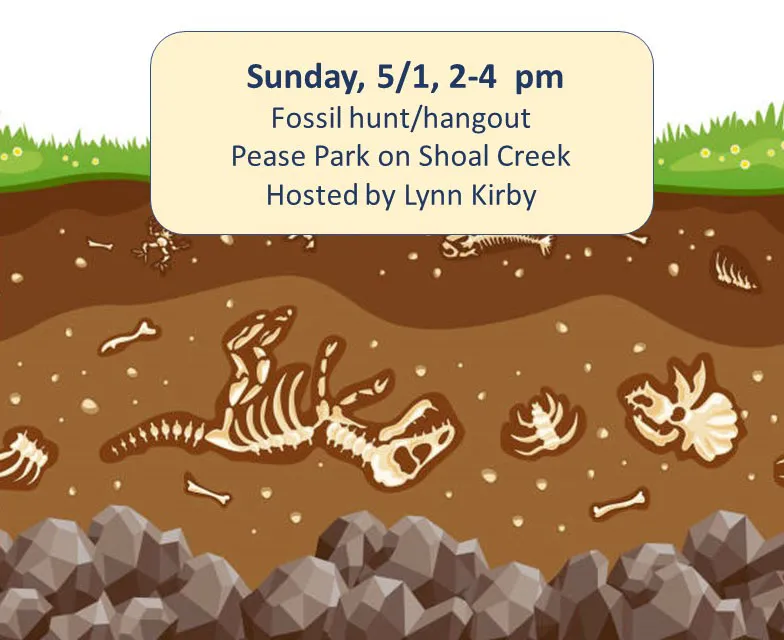 Fossil Hunt Meetup Image